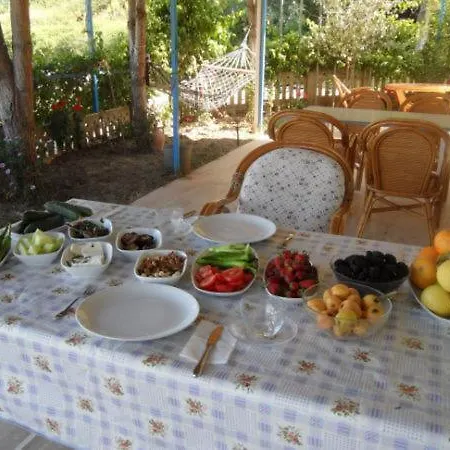 Delfin Bed & Breakfast
