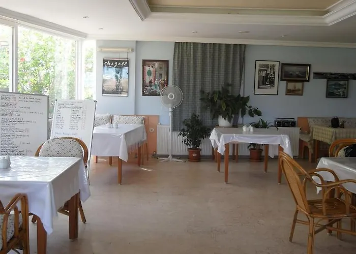 فندق مبيت وإفطار Delfin غازي باشا