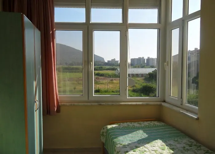 Delfin * غازي باشا