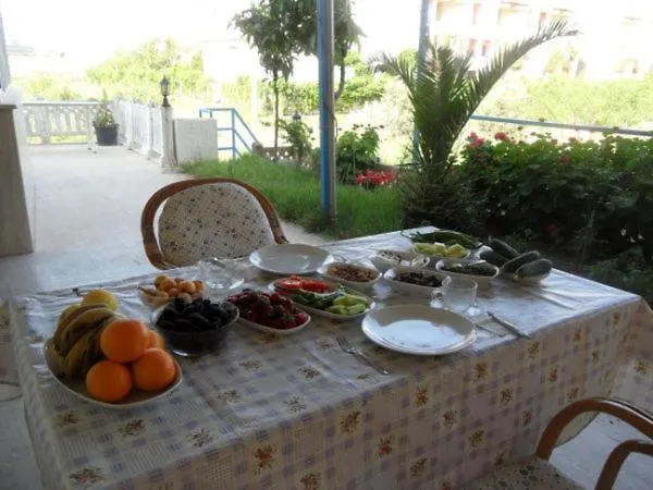 Delfin غازي باشا